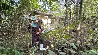 ROYAL PALACE 100years old abandoned overgrown weeds we traveled 500KM to Transformation free help