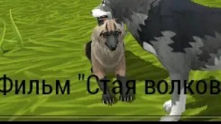 Фильм "Стая волков" 1 серия.(Wildcraft)