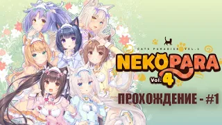 🐾 [NEKOPARA Vol. 4] Возвращение легенды! Прохождение некопары на русском (без комментариев) — #1