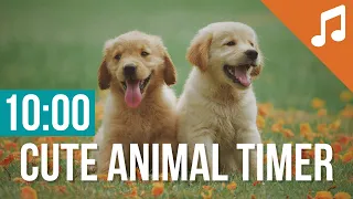 10 Minute Timer for Classroom with Music | Cute Animal Countdown for Kids