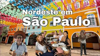 VISITA AO CENTRO DE TRADIÇÕES NORDESTINAS - CTN/SP  🌵🤠