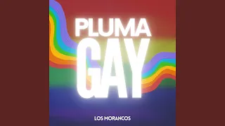 Pluma Gay