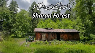 Sharan Forest Tour Plan | Naran Kaghan Trip | Camping in Pakistan