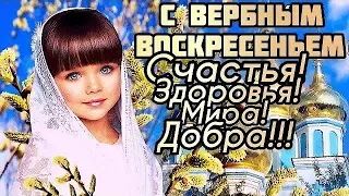 С Вербным Воскресеньем 2024! Счастья и Здоровья Вам и Вашим родным!!!