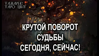 КРУТОЙ ПОВОРОТ СУДЬБЫ СЕГОДНЯ СЕЙЧАС!🌔🔥💯 ГАДАНИЕ РАСКЛАД ТАРО