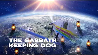 The Sabbath Keeping Dog