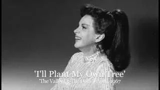 Judy Garland - 'I'll Plant My Own Tree' (The Valley Of The Dolls, 1967)