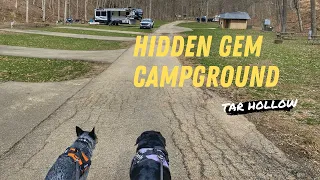 A hidden gem campground - Tar Hollow State Park Ohio