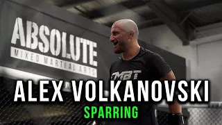 Alex Volkanovski Absolute Sparring