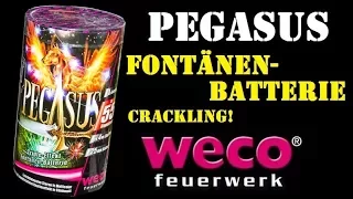 WECO - Pegasus Fontänen - Batterie I pures Crackling! [FullHD]