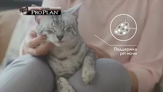 PRO PLAN® Sterilised для стерилизованных кошек