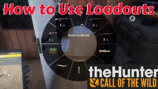 How To Use Loadouts | Hunter Call Of the Wild