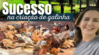 COMO TER SUCESSO CRIANDO GALINHAS? NÃO ERRE MAIS! PASSO A PASSO! DICAS VALIOSAS 🙌 FRAN ADORNO