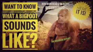 Bigfoot- Recorded sounds of some Bigfoot! The Sierra Sounds!