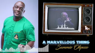 A Marvelous Thing - Sammie Okposo