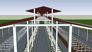 Cow Shed Design