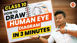 How to Draw Labelled Human Eye Diagram Easy Step? | CBSE Class 10th Science (Physics) Chapter-11