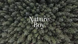 Alison Burns and Martin Taylor - NATURE BOY (Lyric Video)