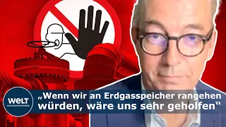 FLEISCHHAUER ZUM GASNOTSTAND: „Entweder frieren oder alles ausprobieren, was wir schrecklich finden“