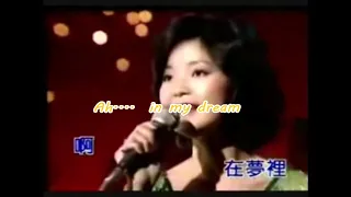 Sweet Honey (甜蜜蜜英文版)