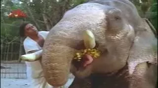 Elephant scene - "Kaattukuthira" Movie Scene 17 | Silly Monks