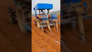 Full Video On Pineapple Farming Techniques #satisfying #short