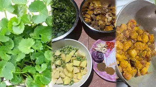 Pork recipe with Brahmin Gotu Kola mixed wet fried/ #mukbang //#8