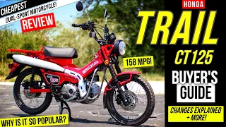 New Honda Trail 125 Review: Changes, Specs + More! | Better than the Monkey, Grom & Super Cub?