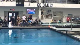 Caroline Li 1st place of the 1M event at the 2020 Club Wolverine Diving Sweetheart Invitational.