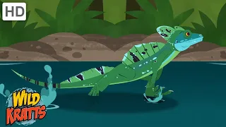 This Lizard can Walk on Water! | Plumed Basilisk [Full Episodes] Wild Kratts
