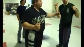 SYSTEMA Mikhail Ryabko on Systema Fistfighting.flv