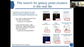 Olga Cucciati: Protoclusters of galaxies: the golden synergy between observations and simulations