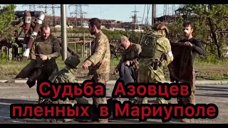 Судьба "Азовцев" пленных в Мариуполе