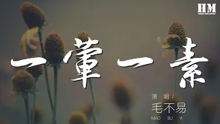 毛不易 - 一葷一素『月兒明 風兒輕 一定是你來時太小心』【動態歌詞Lyrics】