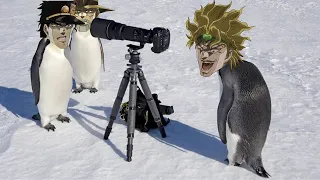 JoJo's Penguin Adventure | Part 7