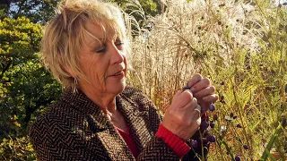 Life in a Cottage Garden with Carol Klein 2022🍀Series 1 - High Summer