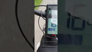 Prophete E-Bike 100Nm Test an der Steigung