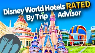 Disney World Hotels Rated By Trip Advisor