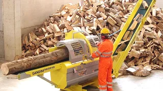 Техника, позволяющая без напряга колоть дрова
