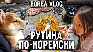 Готовлю корм для животных / Отношение к кастрации и стерилизации животных в Корее / KOREA VLOG