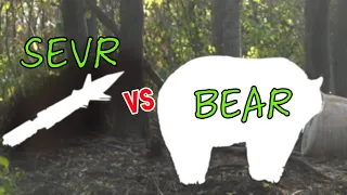 2022 SEVR 1.5 vs BEAR (FAIL!!!!)