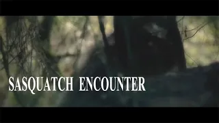 Searching for Sasquatch: Teaser Trailer