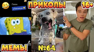 15 МИНУТ СМЕХА ДО СЛЁЗ | ЛУЧШИЕ ПРИКОЛЫ | ВЗРОСЛЫЙ ЮМОР l TikTok УГАР l #64