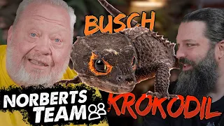 BUSCHKROKODIL | NORBERTS TEAM | Zoo Zajac