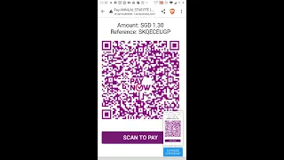 PayNow on Mobile