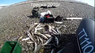 РЫБАЛКА в БАРЕНЦЕВОМ МОРЕ с ночевкой на р. Зарубиха. "Fishing in the Barents sea."