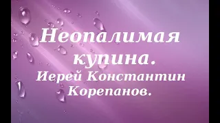 Неопалимая купина. Иерей Константин Корепанов.