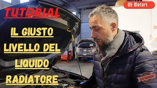 Tutorial : Controllare il livello del liquido radiatore