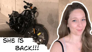 Riding my Harley Davidson Iron 883 for the first time after it got dropped | Female Motovlogger