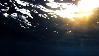 [10 Hours] Sunshine Underwater #2 - Video & Soundscape [1080HD] SlowTV
